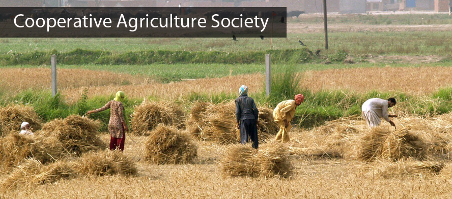 Cooperative Agriculture Society
